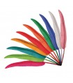 PLUME POINTE BIC ENF.  C50 ASS. L.35CM