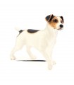 CHIEN JACK RUSSELL 13X4X12 