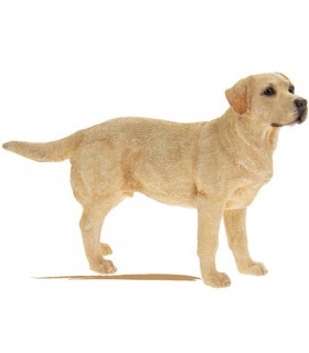CHIEN LABRADOR GOLDEN 18X5X12 