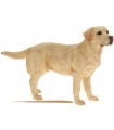CHIEN LABRADOR GOLDEN 18X5X12 
