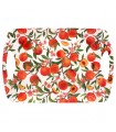 PLATEAU GM PECHES C2 45X32