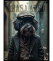 PLAQUE 20X30 LHASSA APSO C2