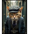PLAQUE 20X30 CHAT ROUX C2
