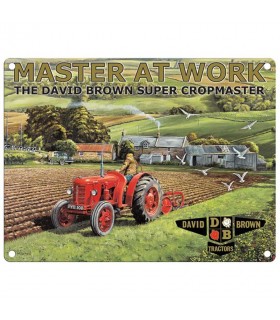 PLAQUE 30X40 MASTER AT WORK C2
