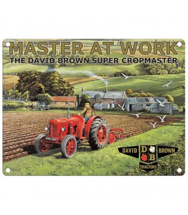 PLAQUE 30X40 MASTER AT WORK C2