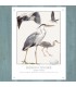 PLAQUE 15X20 HERON CENDRE C2