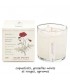 BOUGIE PLANT SIAM POPPY 283G