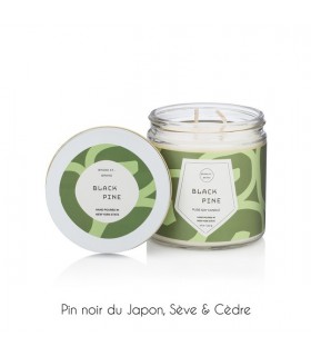 BOUGIE PASTICHE BLACK PINE 450G BOUGIE PASTICHE BLACK PINE 450G