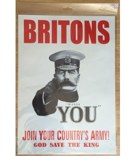 POSTER 1ERE GUERRE MONDIALE A3 C10 POSTER 1ERE GUERRE MONDIALE A3 C10