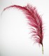 PLUME AUTRUCHE ASSORT.  C6 L.60CM