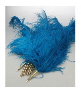 PLUME D'AUTRUCHE TURQUOISE C12 L.60CM PLUME D'AUTRUCHE TURQUOISE C12 L.60CM