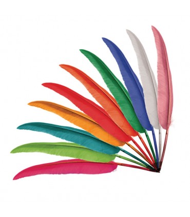 PLUME POINTE BIC ENF.  C50 ASS. L.35CM