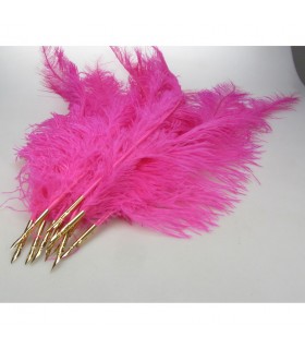 PLUME D'AUTRUCHE ROSE CLAIR C12 L.60CM PLUME D'AUTRUCHE ROSE CLAIR C12 L.60CM