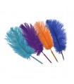 MINI PLUME BIC D'AUTRUCHE C10 -L30CM