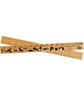 REGLE NATURAL HISTORY C10