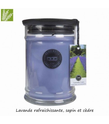 GRANDE JARRE LAVENDER LANE 524G