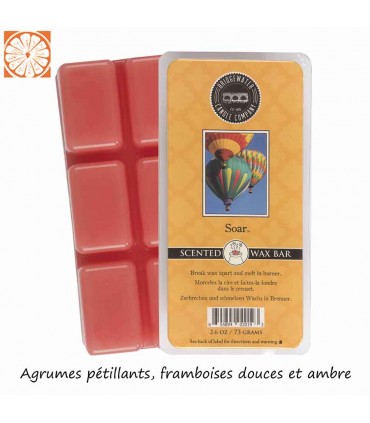 PLAQUE DE CIRE SOAR C12