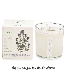 BOUGIE PLANT SOMERSET THYME 283G BOUGIE PLANT SOMERSET THYME 283G