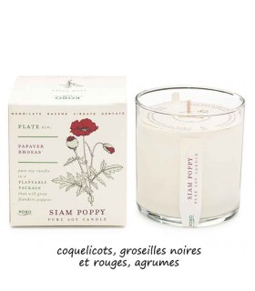 BOUGIE PLANT SIAM POPPY 283G BOUGIE PLANT SIAM POPPY 283G