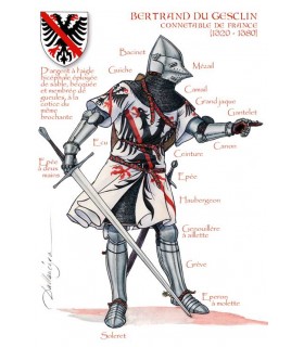CARTE BERTRAND DU GUESCLIN X25 CARTE BERTRAND DU GUESCLIN X25