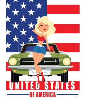 PLAQUE 30X40 UNITED STATES C2 PLAQUE 30X40 UNITED STATES C2