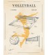 PLAQUE 30X40 VOLLEY RETRO C2