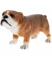 CHIEN BULLDOG 12X8X9
