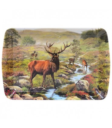 PLATEAU PM CERF C6 24X15