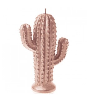 BOUGIE CACTUS ROSE GOLD 24H 14X10X4.7 C2