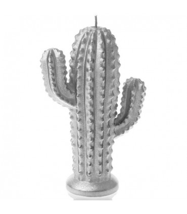 BOUGIE CACTUS SILVER 24H 14X10X4.7 C2