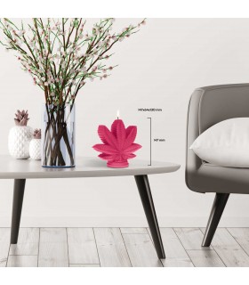 BOUGIE FEUILLE ROSE 25H 14.7X6X13 C2 BOUGIE FEUILLE ROSE 25H 14.7X6X13 C2