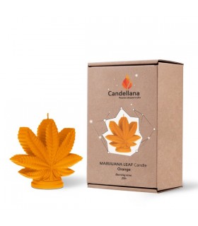 BOUGIE FEUILLE ORANGE 25H 14.7X6X13 C2 BOUGIE FEUILLE ORANGE 25H 14.7X6X13 C2