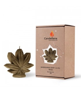 BOUGIE FEUILLE BRASS 25H 14.7X6X13 C2 BOUGIE FEUILLE BRASS 25H 14.7X6X13 C2