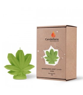 BOUGIE FEUILLE VERT LIME 25H 14.7X6X13 C2 BOUGIE FEUILLE VERT LIME 25H 14.7X6X13 C2