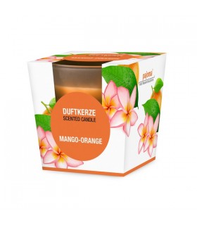 BOUGIE VERRE MANGUE-ORANGE H.8 C12 BOUGIE VERRE MANGUE-ORANGE H.8 C12