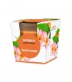 BOUGIE VERRE MANGUE-ORANGE H.8 C12