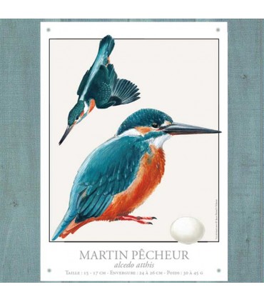 PLAQUE 30X40 MARTIN PECHEUR