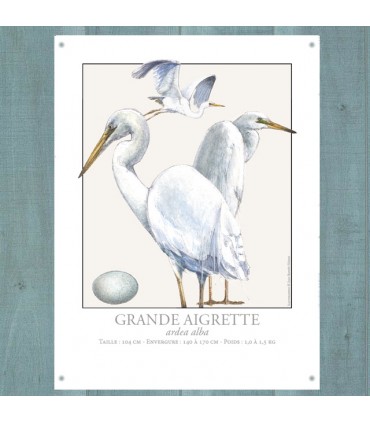 PLAQUE 15X20 GRANDE AIGRETTE C2