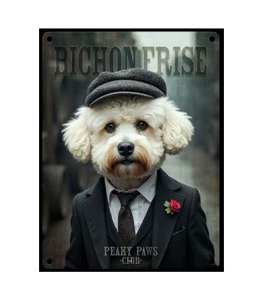 PLAQUE 20X30 BICHON FRISE C2