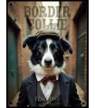 PLAQUE 20X30 BORDER COLLIE C2