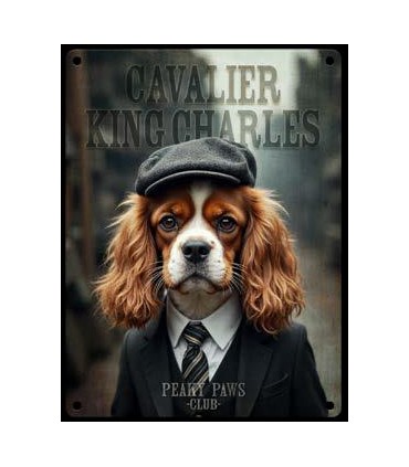 PLAQUE 20X30 CAVALIER KING CHARLES C2