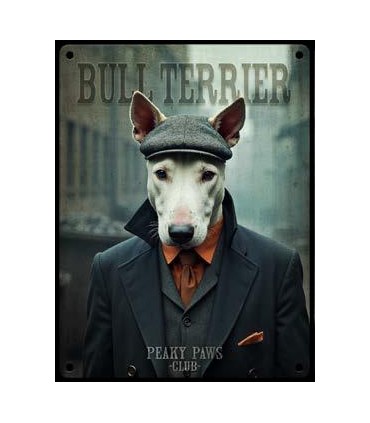 PLAQUE 20X30 BULL TERRIER C2