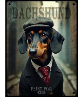 PLAQUE 20X30 TECKEL C2