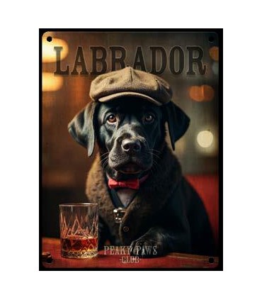 PLAQUE 20X30 LABRADOR NOIR C2