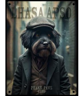 PLAQUE 20X30 LHASSA APSO C2