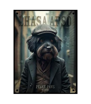 PLAQUE 20X30 LHASSA APSO C2