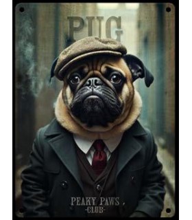 PLAQUE 20X30 CARLIN C2