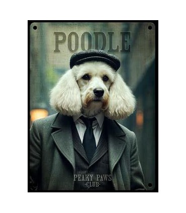 PLAQUE 20X30 CANICHE BLANC C2