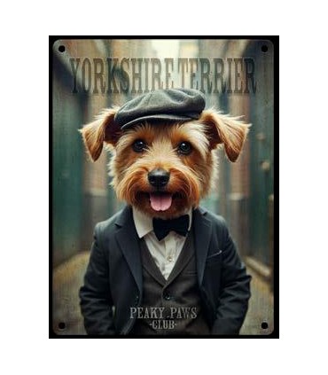 PLAQUE 20X30 YORKSHIRE TERRIER C2
