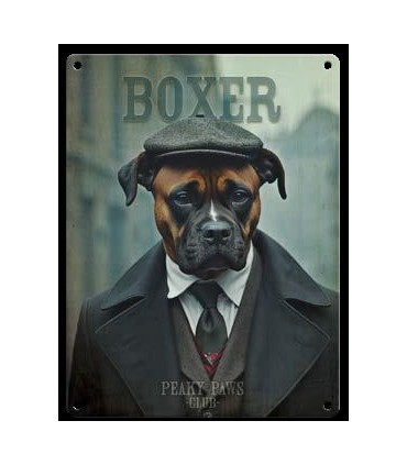 PLAQUE 20X30 BOXER C2